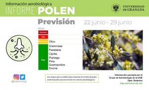 Los niveles de polen ya son moderados o bajos en Granada. 