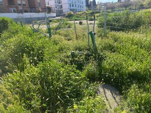 Las máquinas para practicar ejercicio, rodeada de hierbajos.