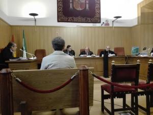 El acusado, de espaldas, ante el tribunal.