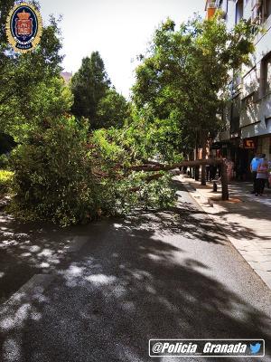 A la altura del número 30 de la Avenida de la Constitución.