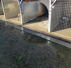 Barro junto a los cheniles tras un día de lluvia.