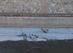 Bicis de alquiler tiradas en el cauce del Genil.