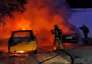 Los Bomberos, durante las tareas de extinción.