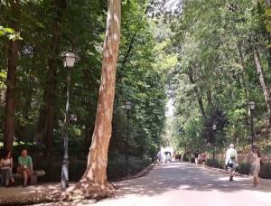 Bosque de la Alhambra este domingo.