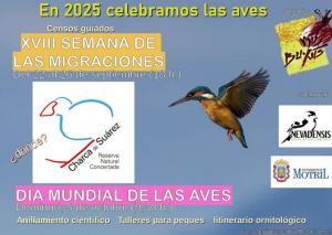 Cartel de una de las actividades programadas por Buxus. 
