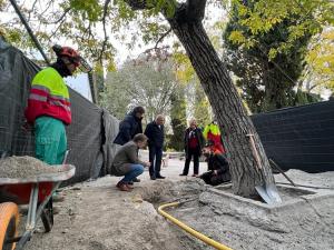 Nogal de la Huerta de San Vicente en el que se ha intervenido.