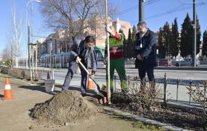 Cuenca echa tierra en la plantación de un árbol en bulevar Carlos V,