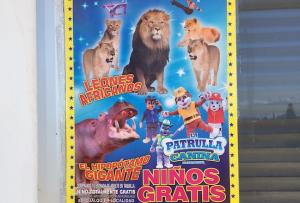 Detalle de un cartel anunciando circo con animales en Granada.