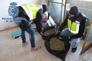 Agentes requisan marihuana en una de las viviendas de la zona Norte. 