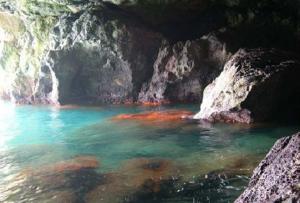 La Cueva de las Palomas alberga importantes poblaciones de coral naranja.