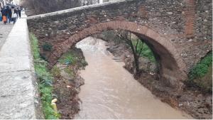 Imagen del Darro, esta mañana.
