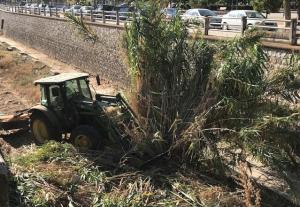 Eliminación de vegetación en el cauce del río Monachil, en el Zaidín. 