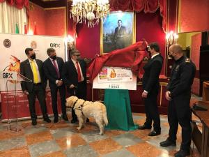 El cupón se ha presentado en el Salón de Plenos del Ayuntamiento de Granada. 