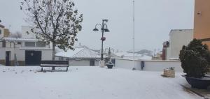 Imagen de Diezma, donde la nieve ya deja un manto blanco este jueves.