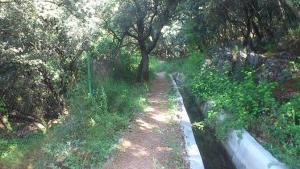 Acequia de Fardes, zona donde ocurrieron los hechos. 