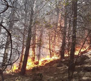 Imagen del incendio en Dúrcal.