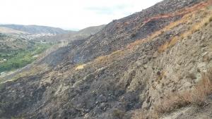 Imagen con el incendio ya estabilizado.