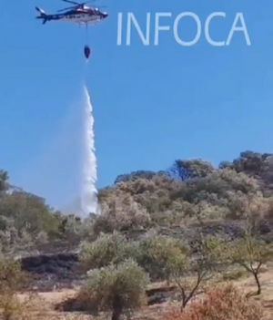 Un helicóptero refrescando el terreno esta mañana. 