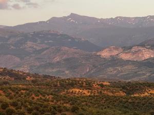 Entorno en el que estaban proyectadas las plantas.