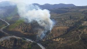 El fuego, extendido al monte desde la carretera A-395. 