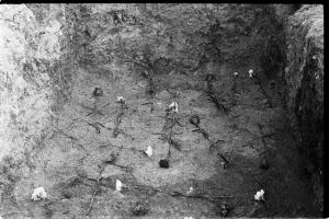 Impresionante imagen de una de las últimas fosas excavadas en el Barranco de Víznar, tras la exhumación de las víctimas.