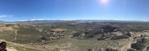 Vista de de la Vega con Sierra Nevada al fondo.