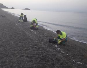 Operarios de limpieza recoge peces muertos en la orilla. 