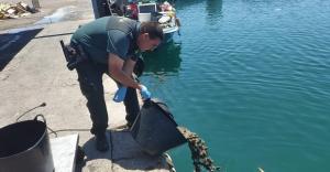 Las ortiguillas son devueltas al mar.