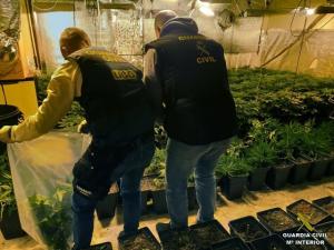 La banda contaban también con plantaciones de marihuana.