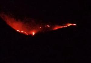 Imagen de uno de los frentes del fuego en Deifontes. 