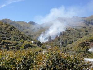 Paraje en el que se declaró el suelo.