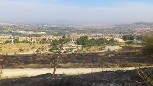 Efectos del fuego del viernes pasado en Cájar, con Granada y su nube de polución al fondo.