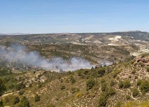 Vista del humo provocado por el fuego en Arenas del Rey. 