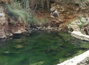 El cuerpo estaba cerca de los Baños de Úrquízar.