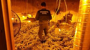 Una de las habitaciones dedicadas al cultivo de marihuana.