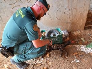 Un agente junto a uno de los cachorros fallecidos. 