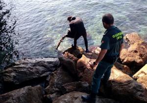 Agentes devuelven las anémonas al mar. 