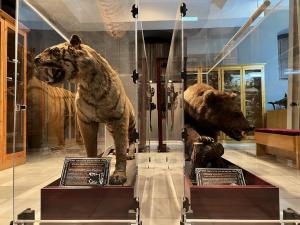 Museo de Ciencias del IES Padre Suárez. 