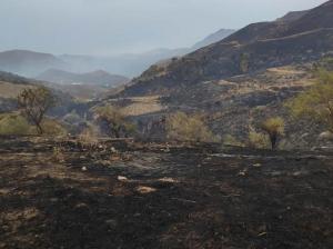 Imagen de los efectos del devastador incendio de Los Guájares.
