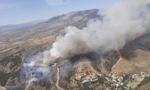 Imagen aérea de la zona en la que se ha declarado el fuego distribuida por el Infoca.