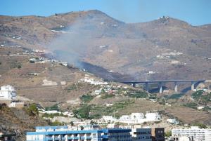 Imagen del incendio, próximo a la A-7 y a algunas viviendas. 