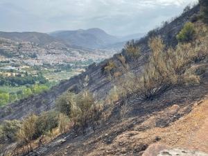 Área quemada por el fuego en la ladera que da al paseo de la Fuente de la Bicha. 