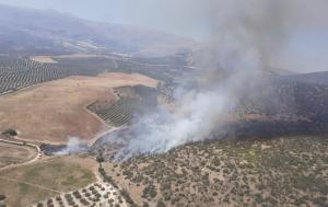 Imagen del incendio de este lunes.