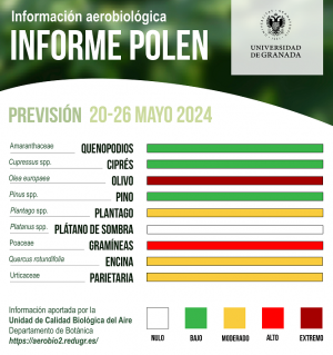 Previsión de niveles de polen en Granada para lo próximos días. 