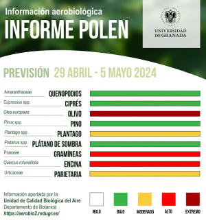 Previsión de niveles de polen en Granada. 