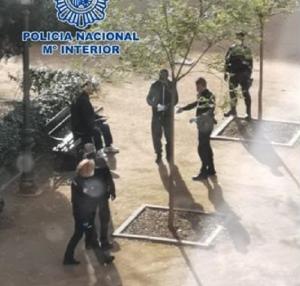 Imagen de la intervención policial en el parque del Zaidín. 