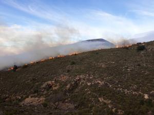 Imagen del incendio durante la jornada.