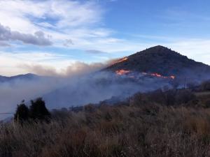 Zona en la que se ha declarado el incendio.