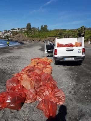 Bolsas con residuos apiladas en la playa tras la limpieza.