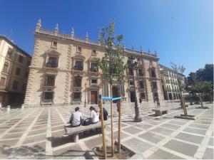 Los tres árboles, más otro del año pasado, están en la perpendicular de la fachada.